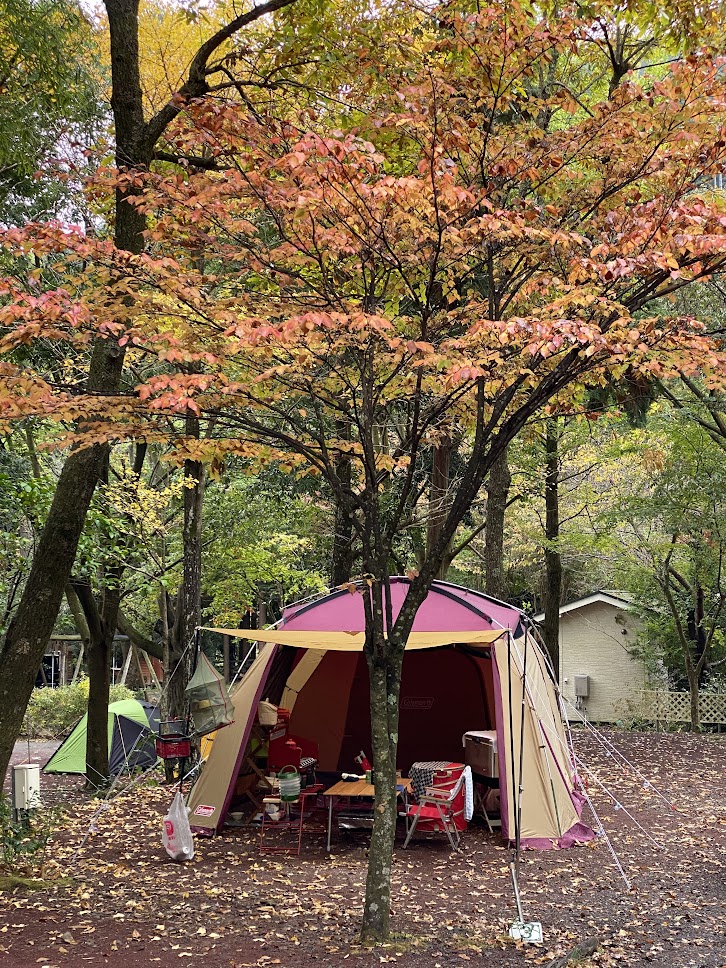 秋のキャンプ